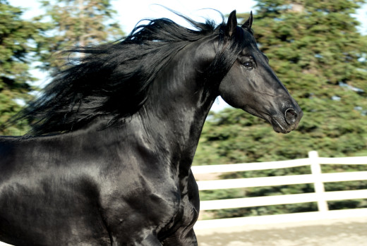 779334 (a): :2300x1540